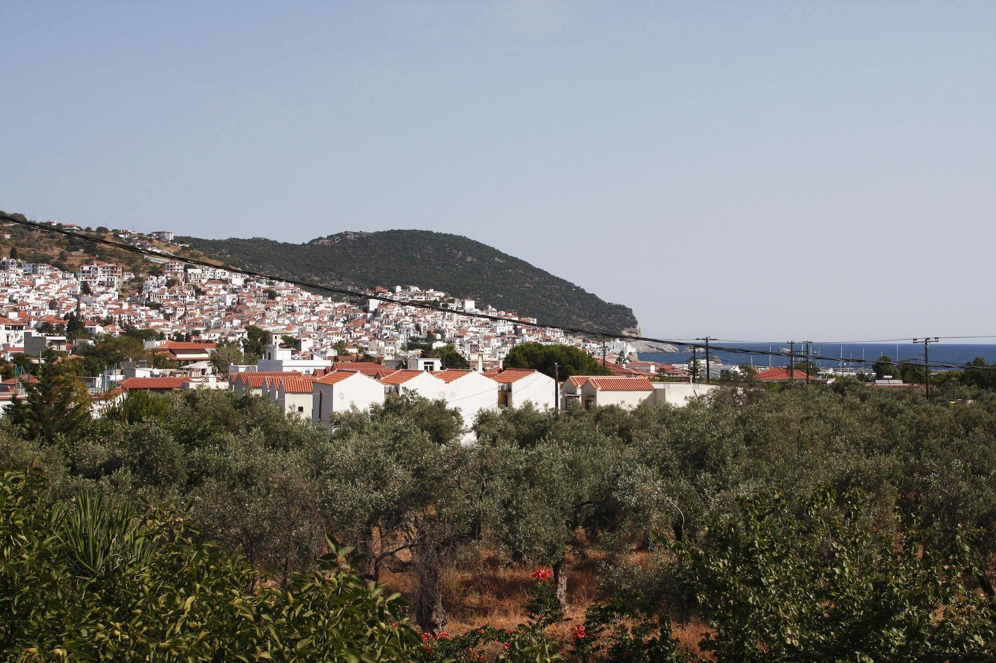 Rastoni Guest House Skopelos Exterior photo