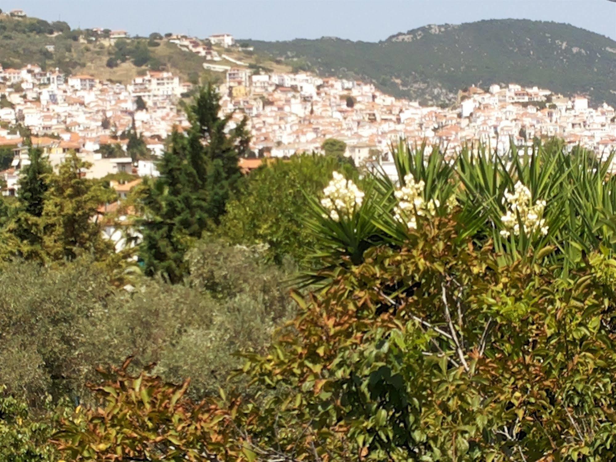 Rastoni Guest House Skopelos Exterior photo